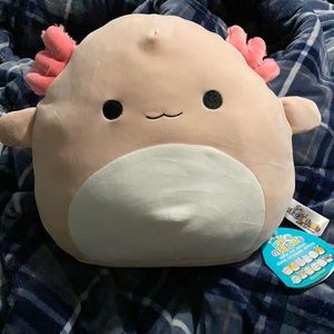Archie x Reina Flip Squishmallow